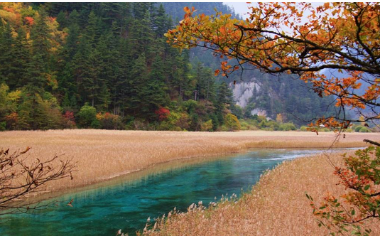 屋村你住哪一座的意思（居住在乡间，远离喧嚣）